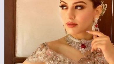 Photo of Hansika Motwani gives major festive goals in this sari