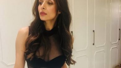 Photo of Malaika Arora turns up the heat in a sheer top