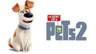 Photo of The Secret Life of Pets 2 trailer