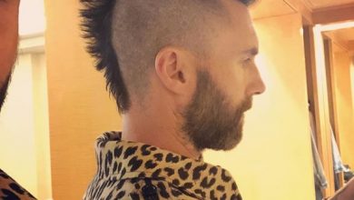 Photo of Adam Levine will not be part of The Voice after 16 seasons