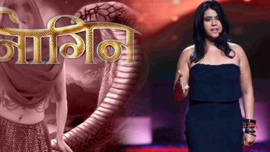 Photo of Naagin 3 finale episode teaser out