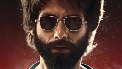 Photo of Kabir Singh rages at the box office