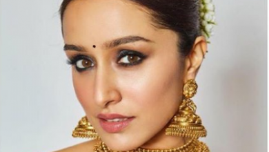 Photo of Shraddha Kapoor looked beautiful in this silk sari