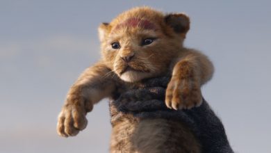 Photo of The Lion King sequel to be directed by Barry Jenkins