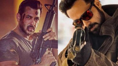 Photo of Talking about Tiger 3, Emraan Hashmi says it was always a dream to work with Salman Khan