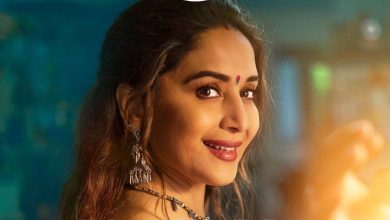 Photo of Maja Ma trailer: Madhuri Dixit is at odds with herself in this colourful family entertainer
