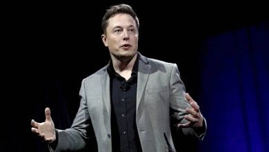 Photo of Elon Musk will do a brain test implant in humans next year
