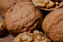 Photo of Does eating walnuts on an empty stomach in the morning increase memory and brain function?