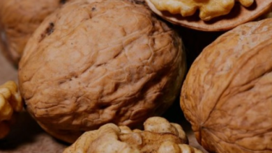 Photo of Does eating walnuts on an empty stomach in the morning increase memory and brain function?