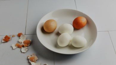 Photo of Is steaming a preferable method for cooking eggs quickly, flavorfully, and effortlessly peeled?
