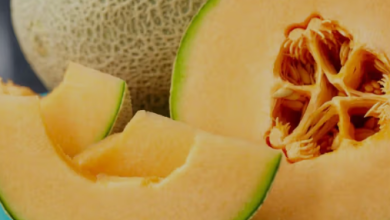 Photo of What makes the combo of mango and muskmelon unique?