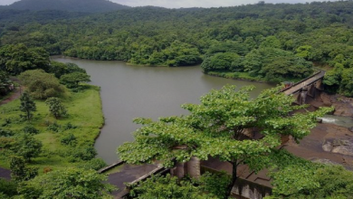 Photo of What steps must ecotourism in northern India take to start, expand, and continue?