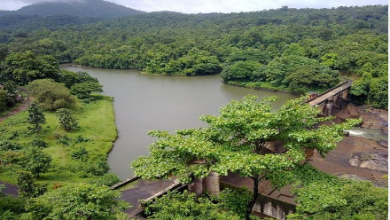 Photo of Travel and Adventure: “Top 5 Sustainable Travel Destinations to Visit in 2025”